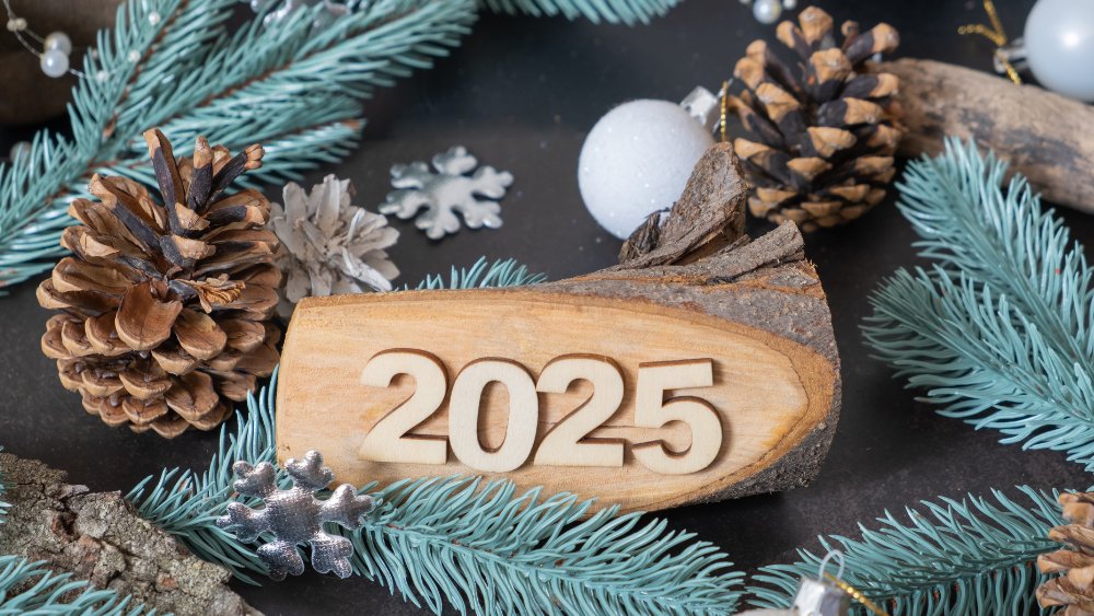2025 Yılı Başak Burcu Yorumları: Aşk Hayatı ve İş Hayatı. Başak Burcunu Bekleyen Sürprizler ve Fırsatlar