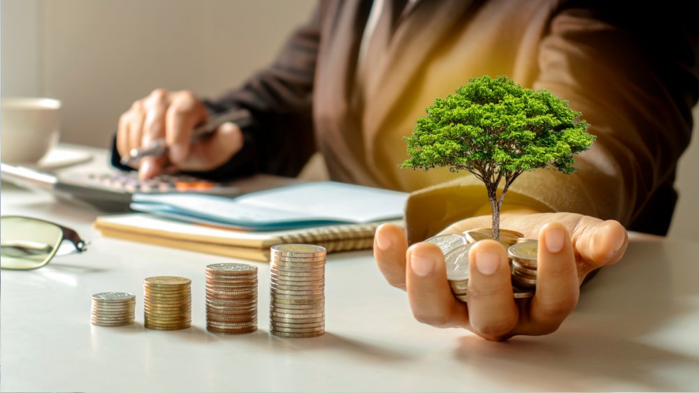 Burçlara Göre Yatırım ve Finansal Kararlar: Parasal Astroloji