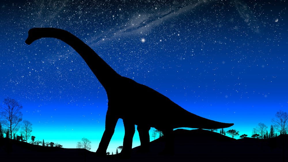 Kahve Falında Dinozor Görmek: Anlamları ve Yorumları